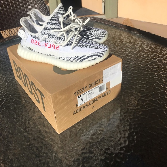 Meet your Posher, Brok - Picture 1 of 1